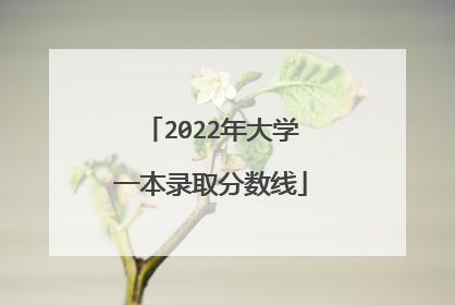2022年大学一本录取分数线