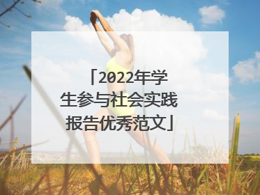 2022年学生参与社会实践报告优秀范文