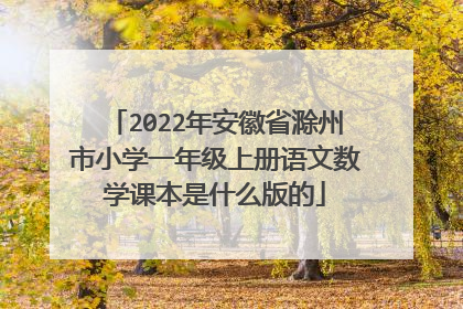 2022年安徽省滁州市小学一年级上册语文数学课本是什么版的