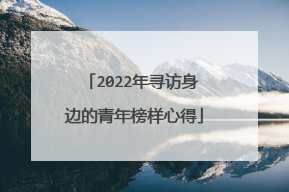 2022年寻访身边的青年榜样心得