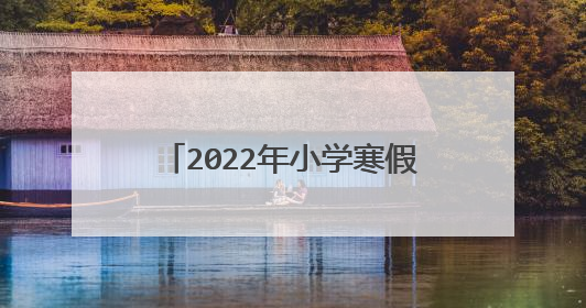 2022年小学寒假实践活动方案6篇