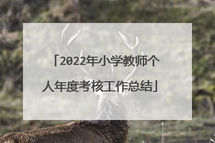 2022年小学教师个人年度考核工作总结