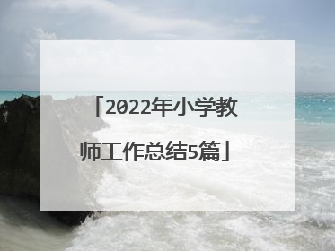 2022年小学教师工作总结5篇