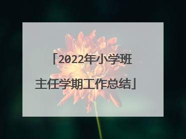 2022年小学班主任学期工作总结