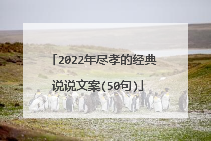 2022年尽孝的经典说说文案(50句)