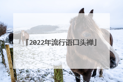 2022年流行语口头禅