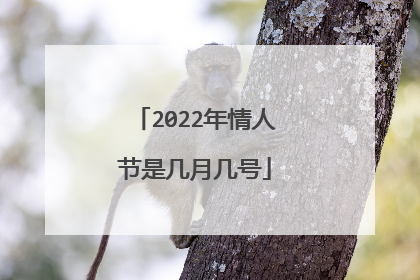 2022年情人节是几月几号
