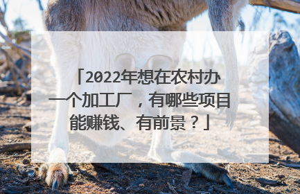 2022年想在农村办一个加工厂,有哪些项目能赚钱、有前景?