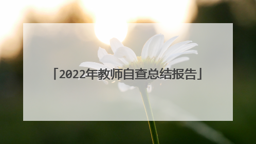 2022年教师自查总结报告