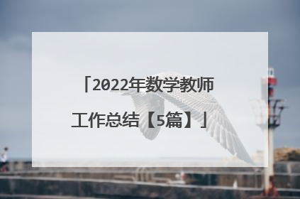 2022年数学教师工作总结【5篇】