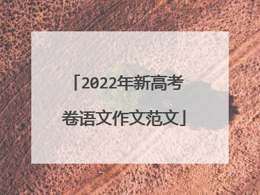2022年新高考Ⅰ卷语文作文范文