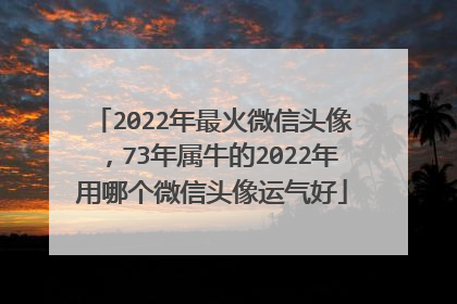 2022年最火微信头像,73年属牛的2022年用哪个微信头像运气好