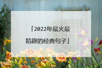 2022年最火最精辟的经典句子
