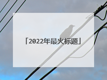 2022年最火标题