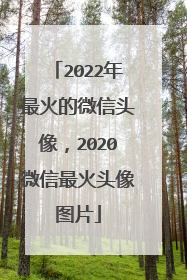2022年最火的微信头像,2020微信最火头像图片