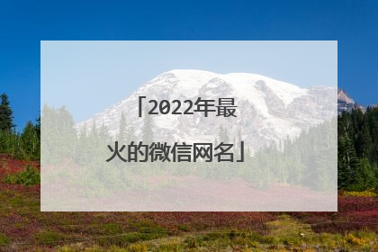 2022年最火的微信网名