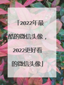 2022年最酷的微信头像,2022更好看的微信头像