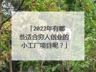 2022年有哪些适合穷人创业的小工厂项目呢？