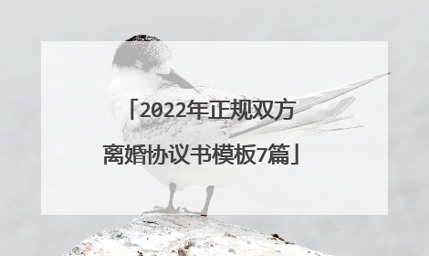 2022年正规双方离婚协议书模板7篇