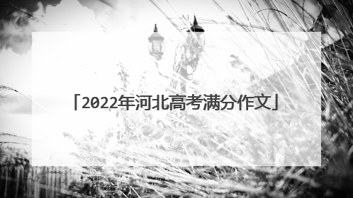 2022年河北高考满分作文