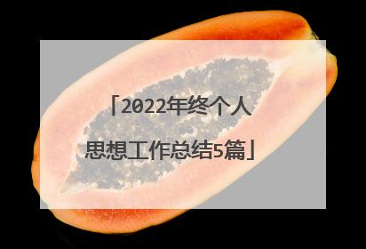 2022年终个人思想工作总结5篇