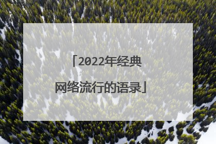 2022年经典网络流行的语录