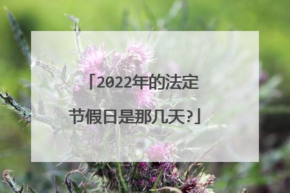 2022年的法定节假日是那几天?