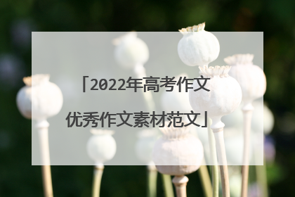 2022年高考作文优秀作文素材范文