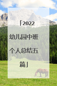 2022幼儿园中班个人总结五篇