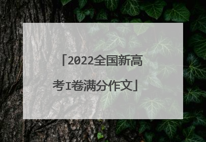 2022全国新高考I卷满分作文