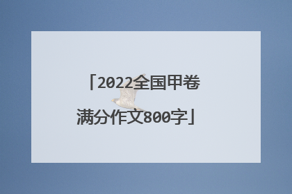 2022全国甲卷满分作文800字