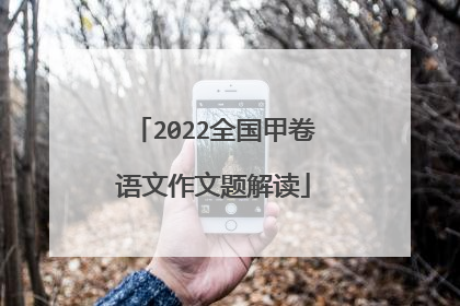 2022全国甲卷语文作文题解读