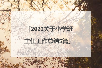 2022关于小学班主任工作总结5篇