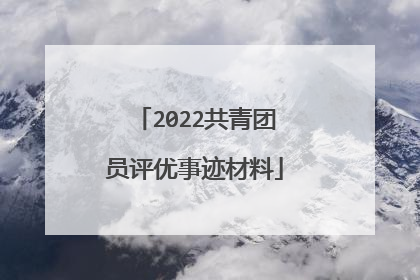 2022共青团员评优事迹材料