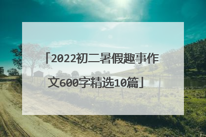 2022初二暑假趣事作文600字精选10篇