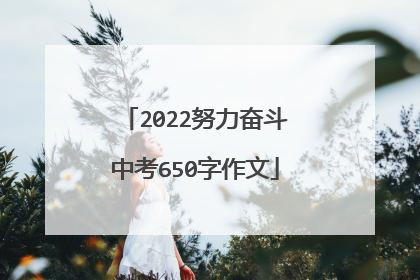 2022努力奋斗中考650字作文