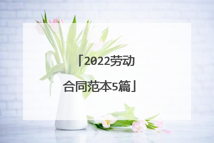 2022劳动合同范本5篇