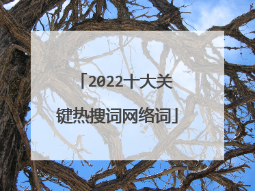 2022十大关键热搜词网络词
