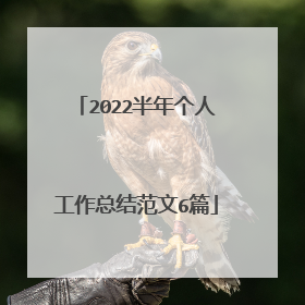 2022半年个人工作总结范文6篇
