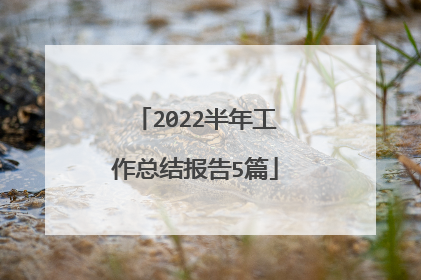 2022半年工作总结报告5篇