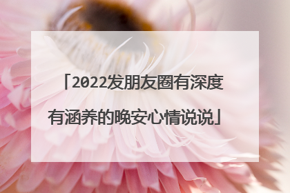 2022发朋友圈有深度有涵养的晚安心情说说