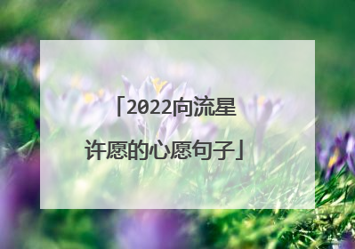 2022向流星许愿的心愿句子