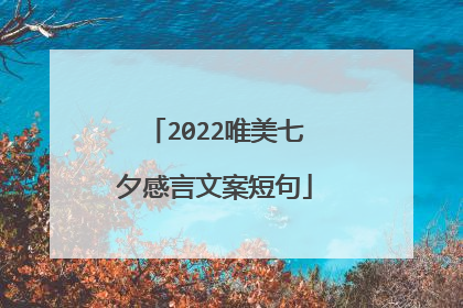 2022唯美七夕感言文案短句