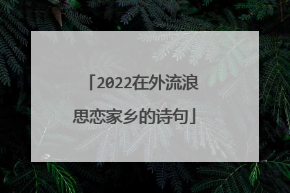 2022在外流浪思恋家乡的诗句