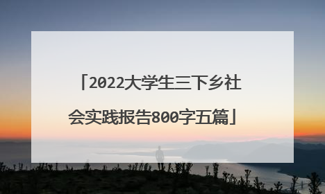 2022大学生三下乡社会实践报告800字五篇
