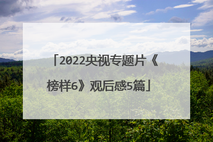 2022央视专题片《榜样6》观后感5篇