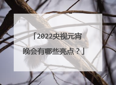 2022央视元宵晚会有哪些亮点?