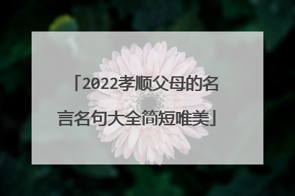 2022孝顺父母的名言名句大全简短唯美