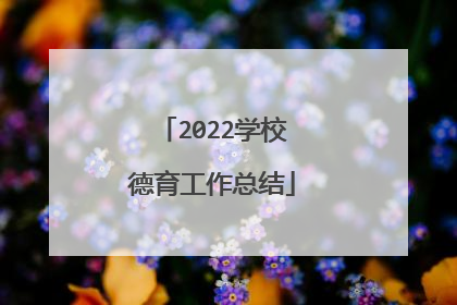 2022学校德育工作总结