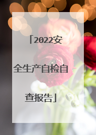 2022安全生产自检自查报告